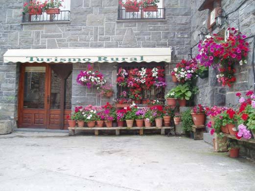 een bloemenwinkel met potplanten voor een gebouw bij Casa Herrero in Oto