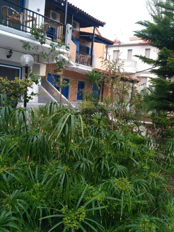 a building with a bunch of plants in front of it at 9 Musses Hotel Apartments in Skala Mistegnon