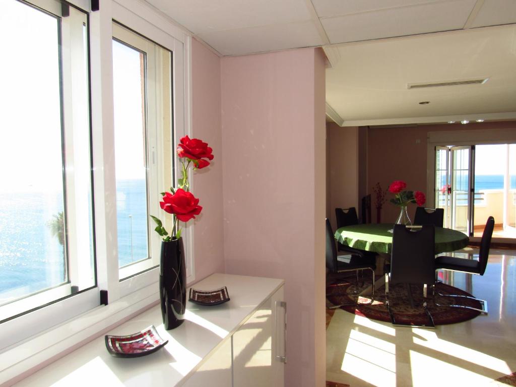 Příroda nedaleko apartmánu