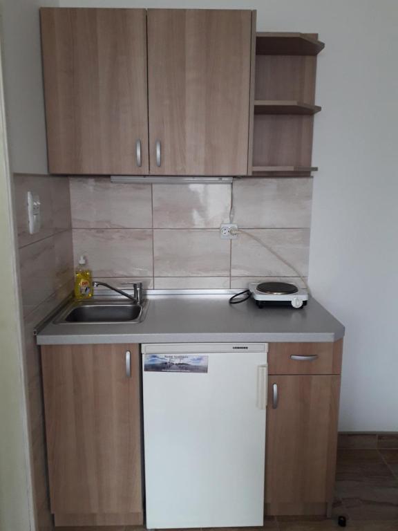 Majoituspaikan Apartmani Milivojevic keittiö tai keittotila