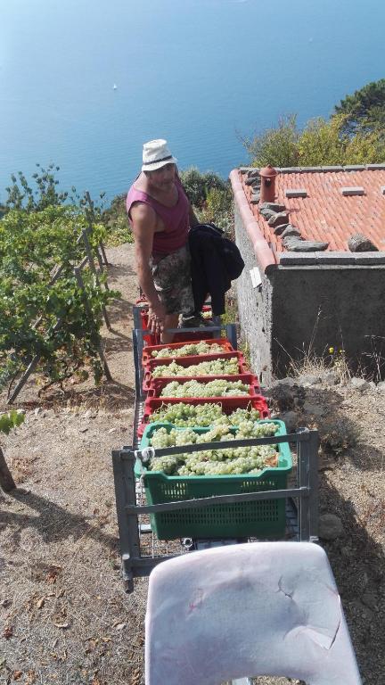 Ospiti di I TRE GRAPPOLI