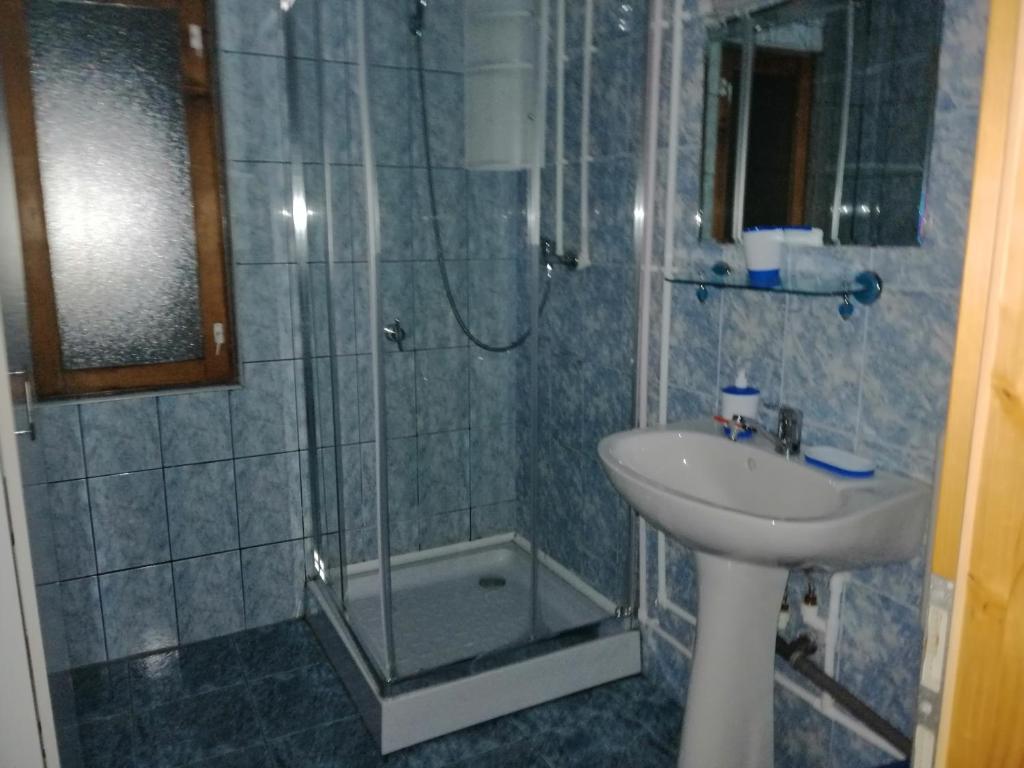 Fotografie z fotogalerie ubytování Cabana Beea v destinaci Dubová