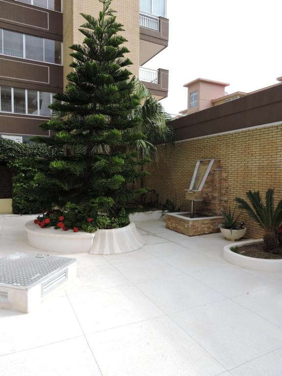 Fotografie z fotogalerie ubytování Palm Beach v destinaci Fuengirola