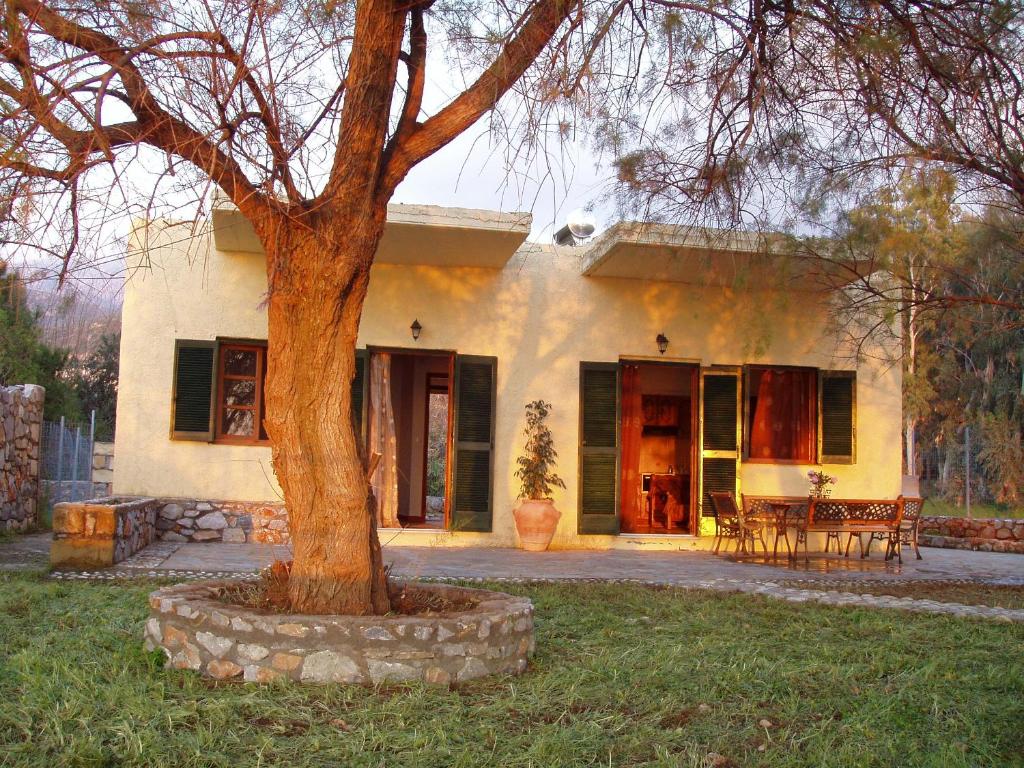 a house with a tree in front of it at Elpidas Holiday House in Kardamyli