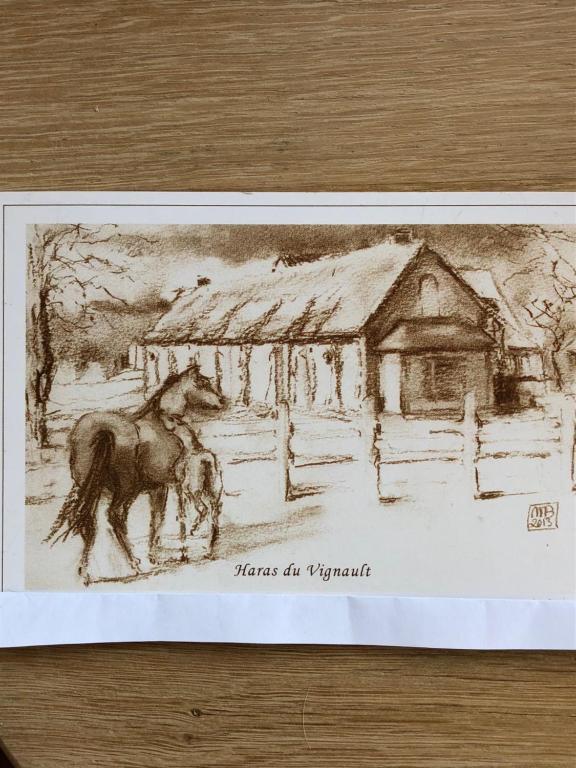 Fotografie z fotogalerie ubytování haras du Vignault Le Bûcher v destinaci Salbris