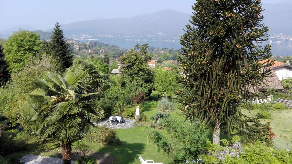 une vue aérienne d'un jardin avec des palmiers dans l'établissement Panorama sul lago, à Porto Valtravaglia