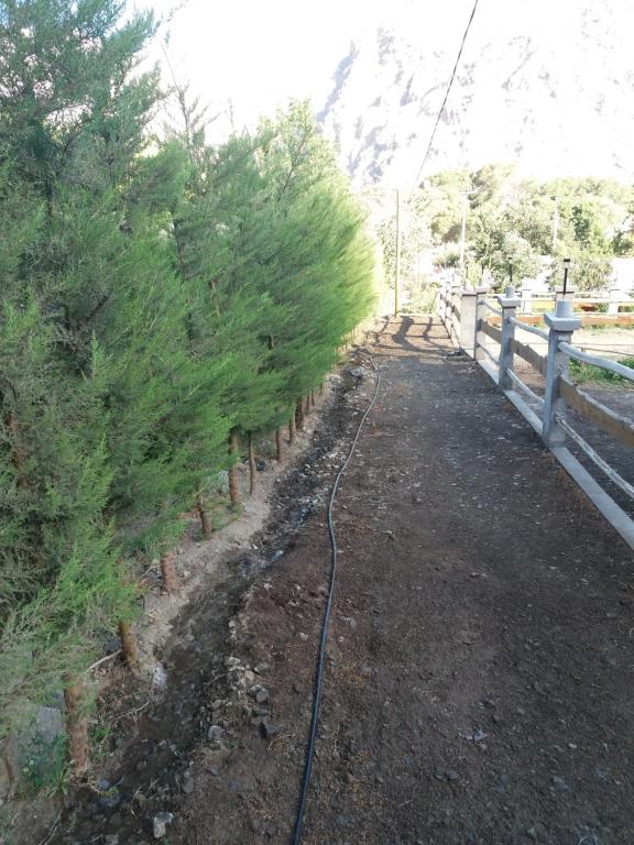 un camino con árboles al lado de una valla en Cabañas Rivadavia Spa, en Vicuña