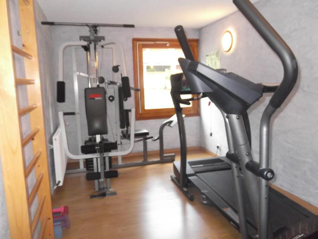 Fitness centrum a/nebo fitness zařízení v ubytování Auberge de la Dranse