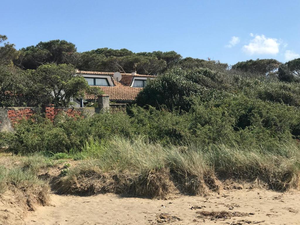 a house on the beach with bushes at Villa Giannella in Orbetello