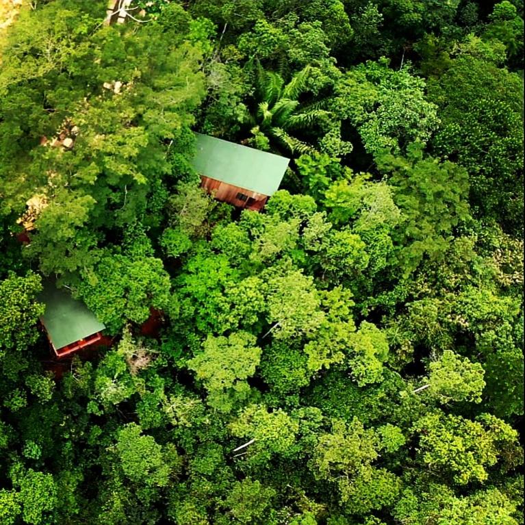  La Luciole Ecolodge