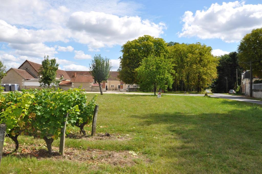 un champ d'herbe verte avec des arbres et un bâtiment dans l'établissement Les Pierres D'aurèle Chambres d'Hôtes, à Saint-Georges-sur-Cher