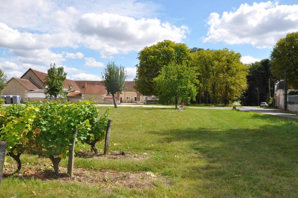 Zahrada ubytování Les Pierres D'aurèle Chambres d'Hôtes