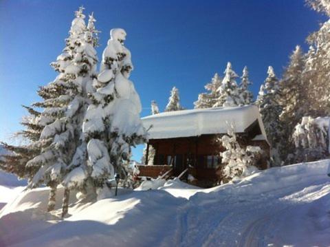 Chalet Tannenduft v zimě