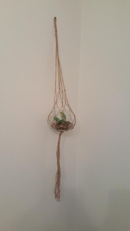 A Casa dos Avós - 7