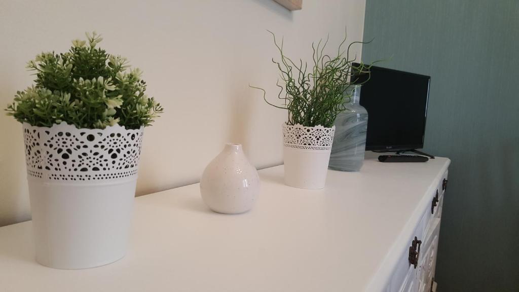 A Casa dos Avós - 8