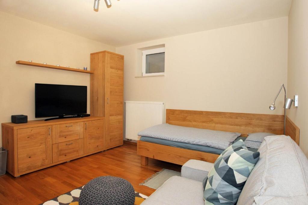 TV a/nebo společenská místnost v ubytování Apartma - Počitniška hiša Lodi