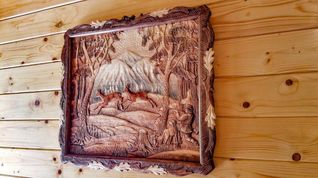Fotografie z fotogalerie ubytování Коло Гір v destinaci Koločava
