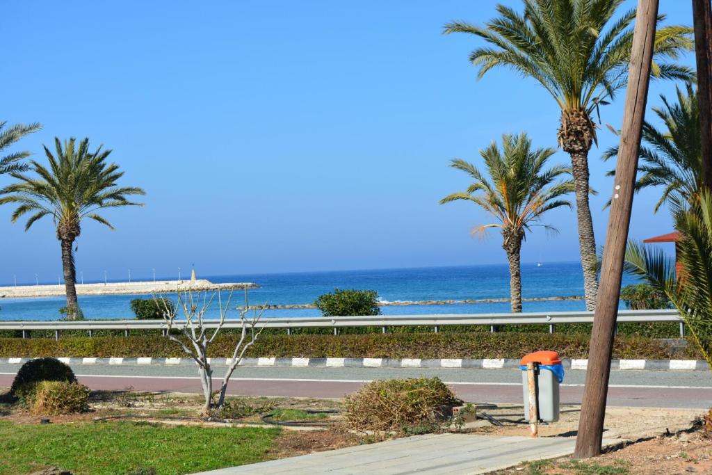 een weg naast de oceaan met palmbomen bij EMILIA 10 STUDIO in Polis Chrysochous