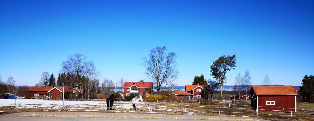 dos personas de pie en la nieve frente a las casas en Det Gamla Panget, en Tällberg