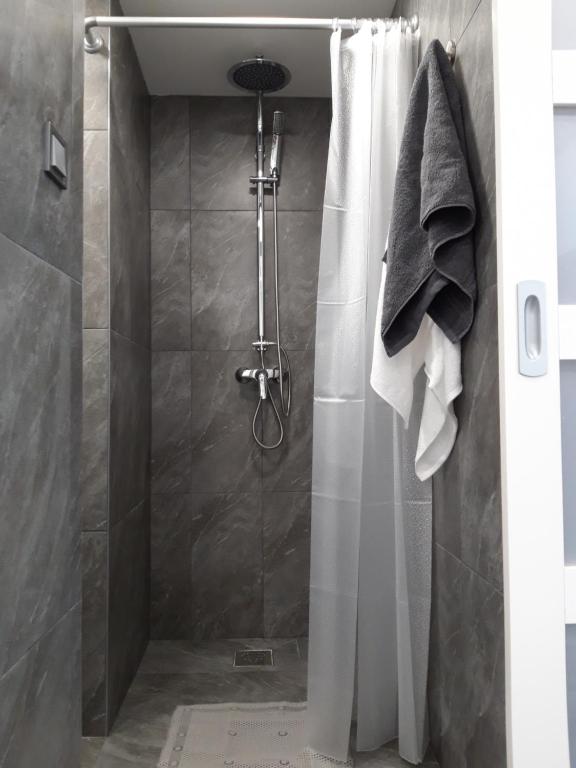 A bathroom at Belvárosi apartman