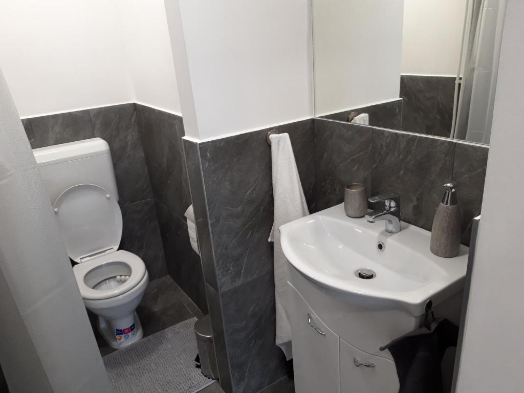 A bathroom at Belvárosi apartman