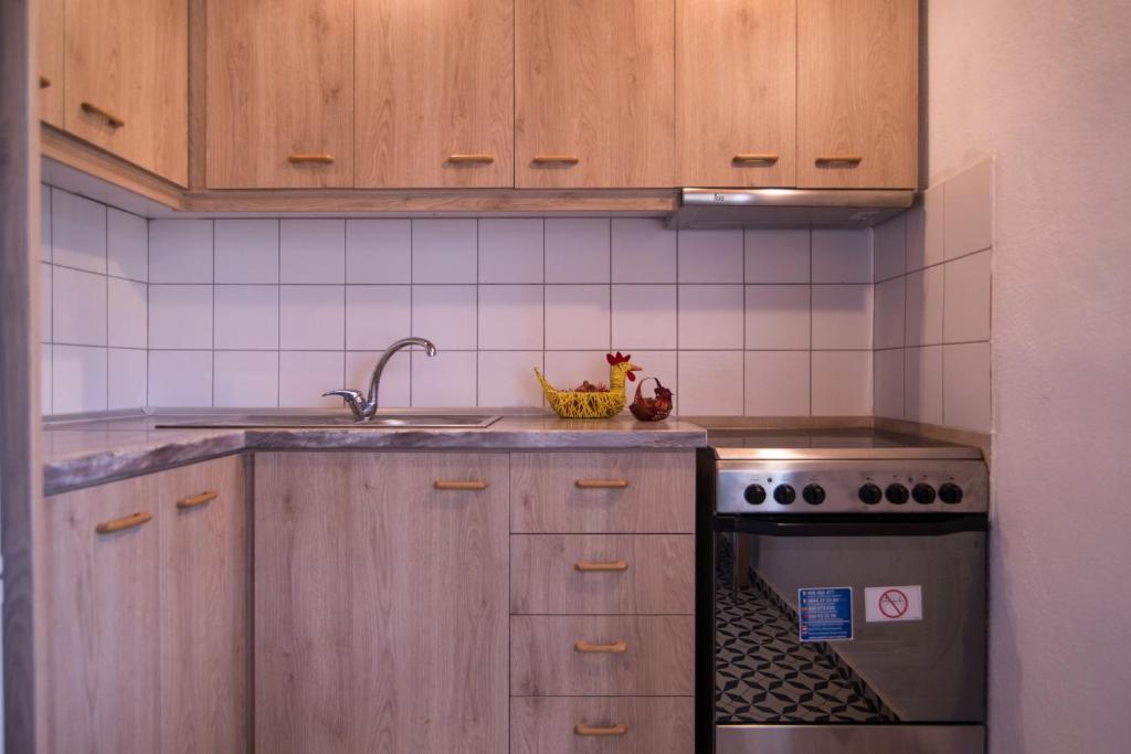 Kuchyň nebo kuchyňský kout v ubytování Amaryllis apartments
