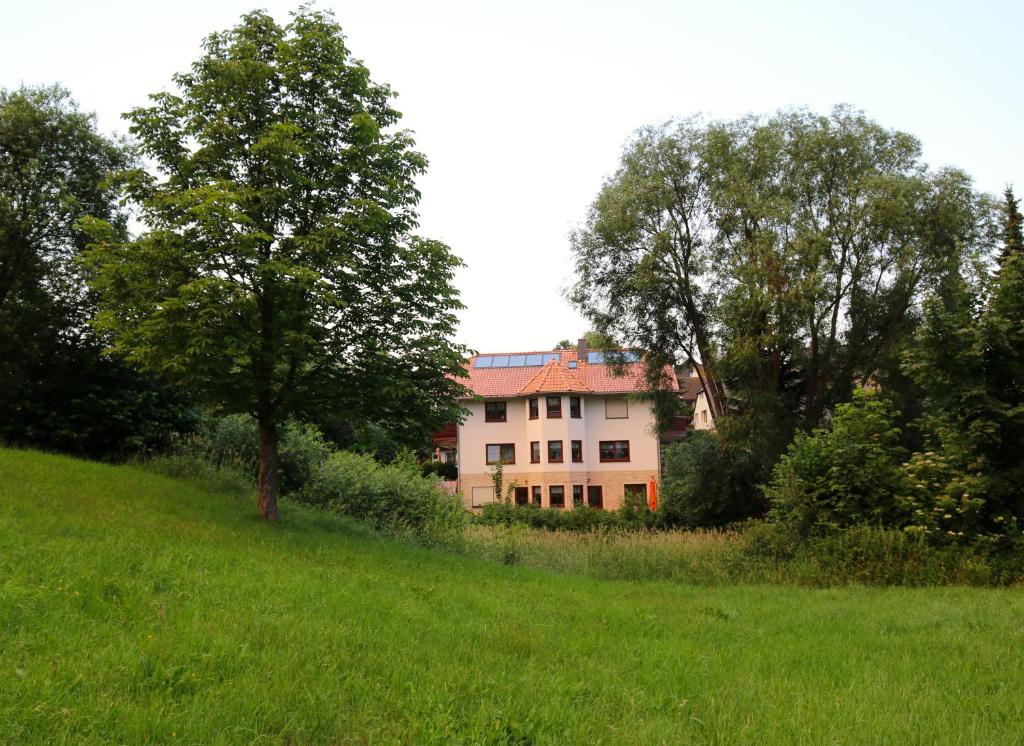 a house on a hill in a field with trees at Erzgebirgsferien in Olbernhau