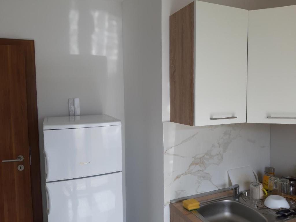 Kuchyň nebo kuchyňský kout v ubytování Villa Piccola