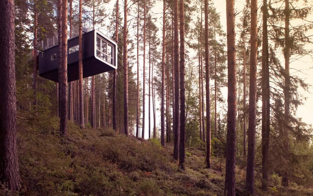 Treehotel en Suède