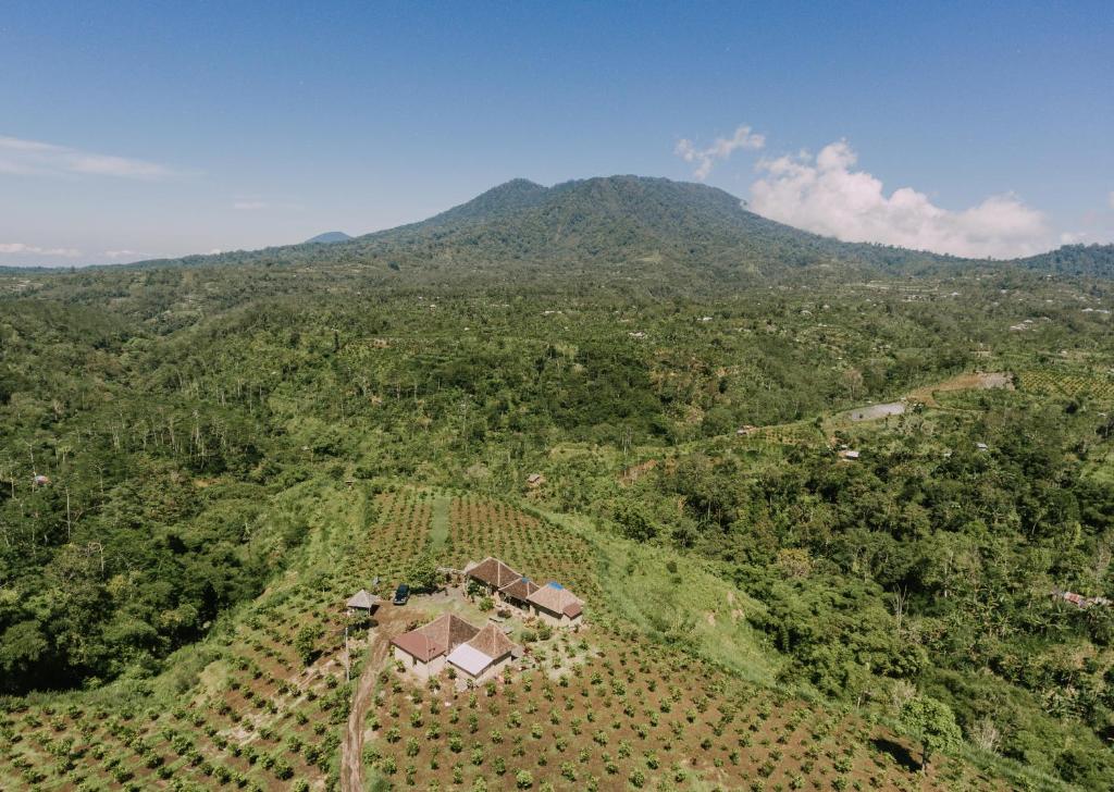 Bukit Lalang Agricultures