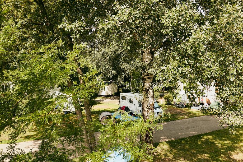 Zahrada ubytování Donaupark Camping Tulln