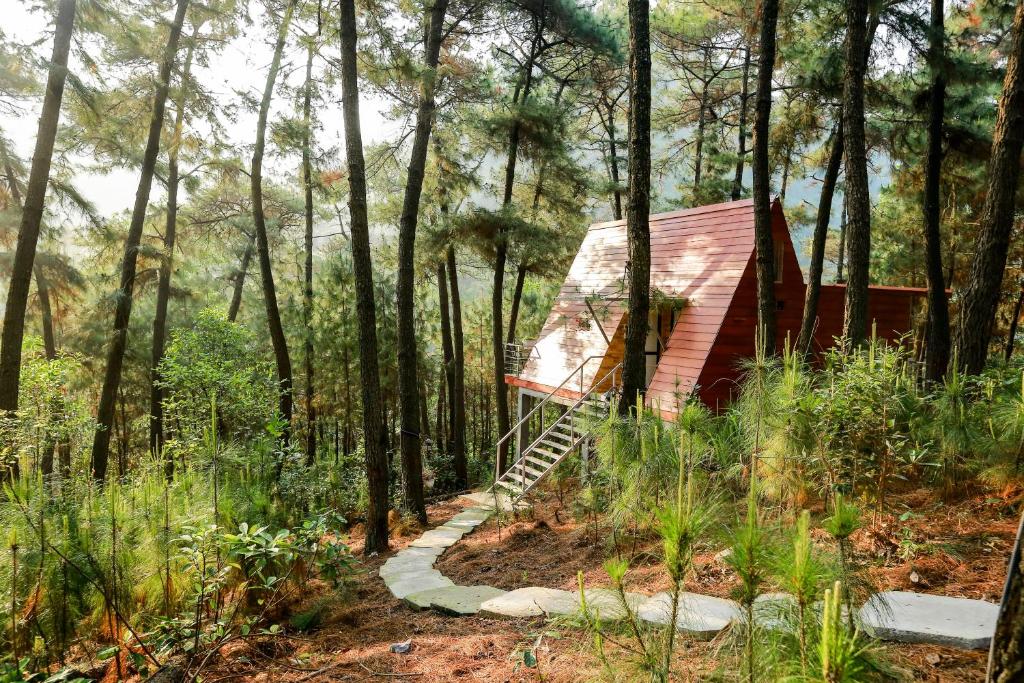 a small red house in the woods with a ladder at Cat Ba Eco Lodge Resort in Cat Ba