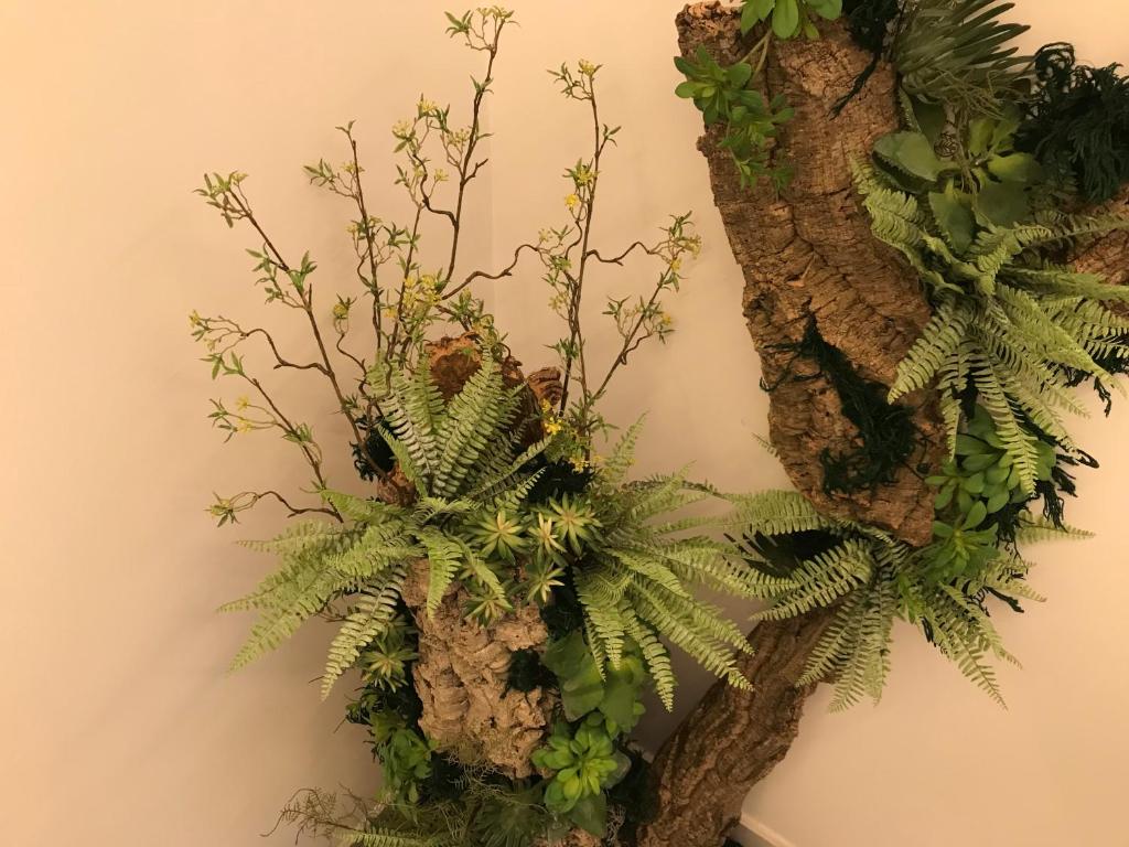 CASA DELLA ZIA ELSA - 14