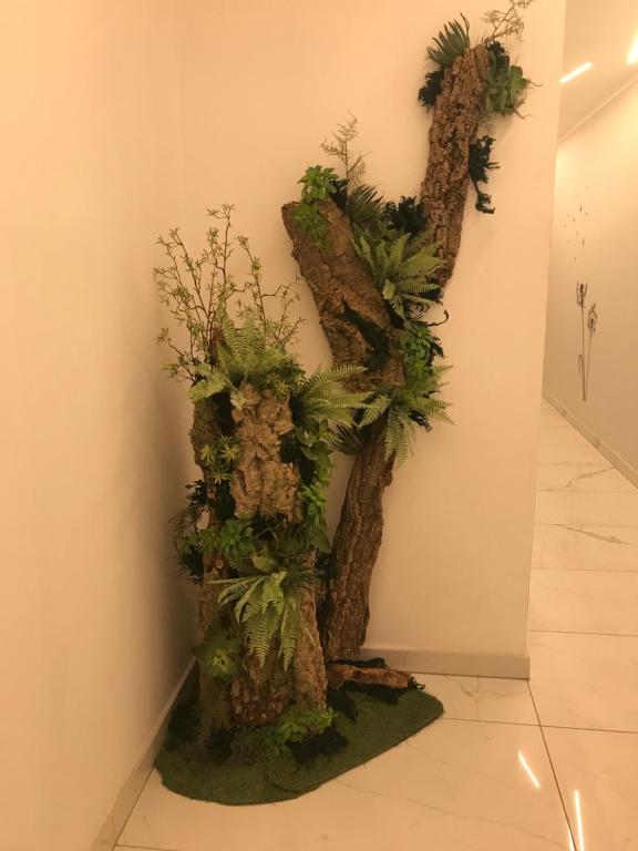 CASA DELLA ZIA ELSA - 10