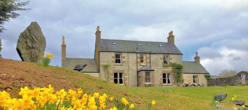 una casa vieja en la cima de una colina con flores en House of Mark, en Angus