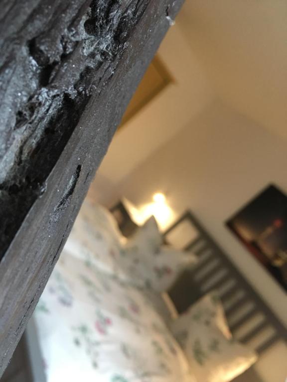 Postel nebo postele na pokoji v ubytování Ferienhaus Harzinsel