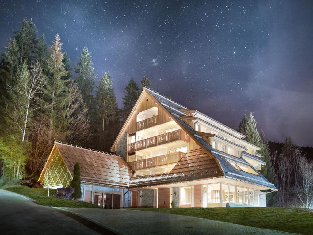 a large house with a wooden roof at night at Vila Planinka Boutique Hotel in Zgornje Jezersko