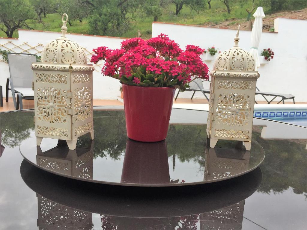 Zahrada ubytování Casa las Torres B&B