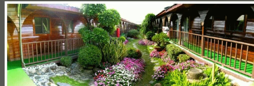 台東市的住宿－龍星花園度假木屋，火车站花园内鲜花盛开