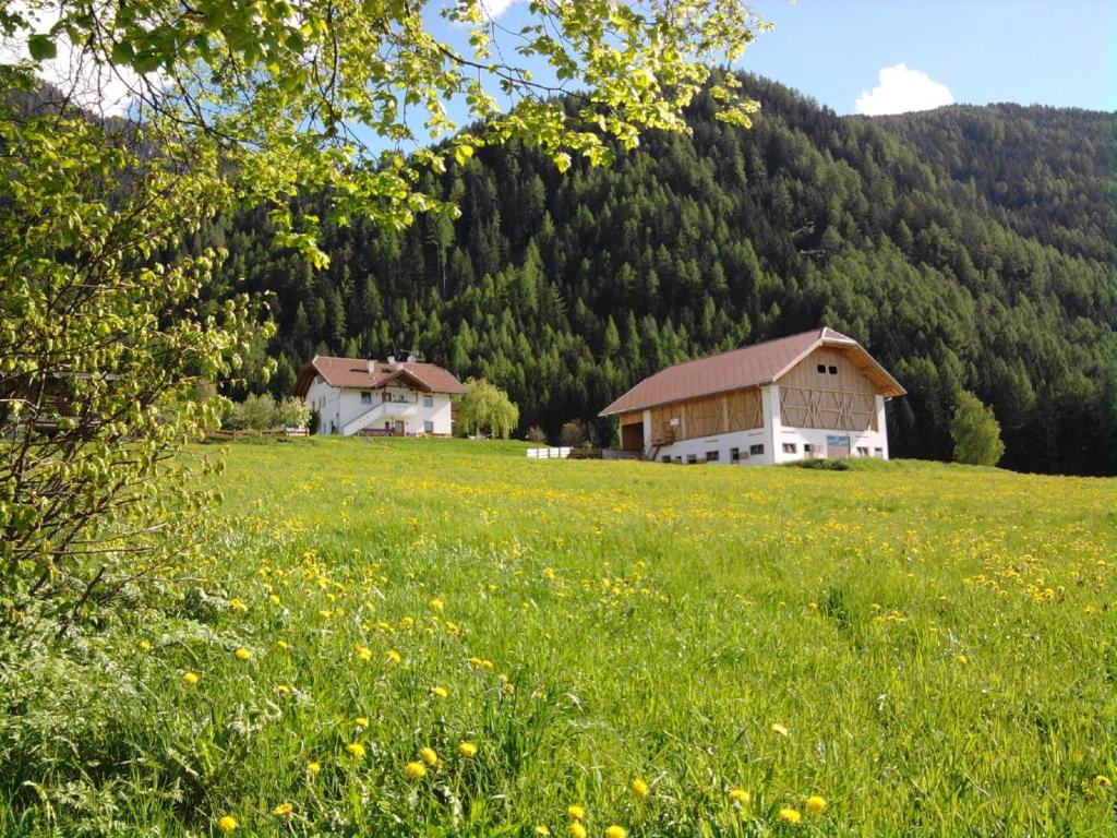 2 maisons dans un champ d'herbe verte avec une montagne dans l'établissement Beikircherhof, à San Lorenzo di Sebato