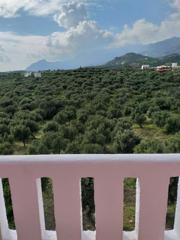Príroda v okolí apartmánu