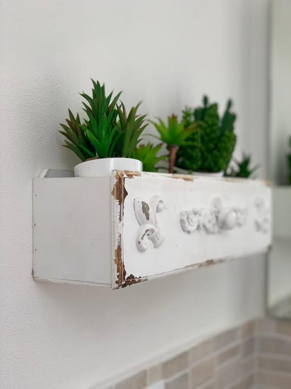 Foto dalla galleria di B&B ALVINO a Bientina