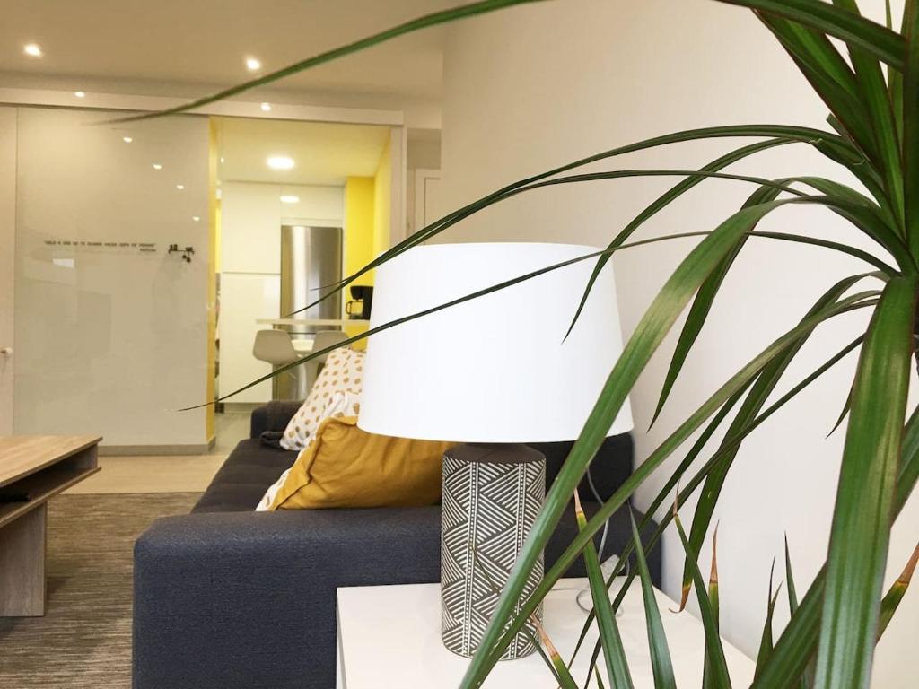 Soleado a un Paseo de la Catedral - 9