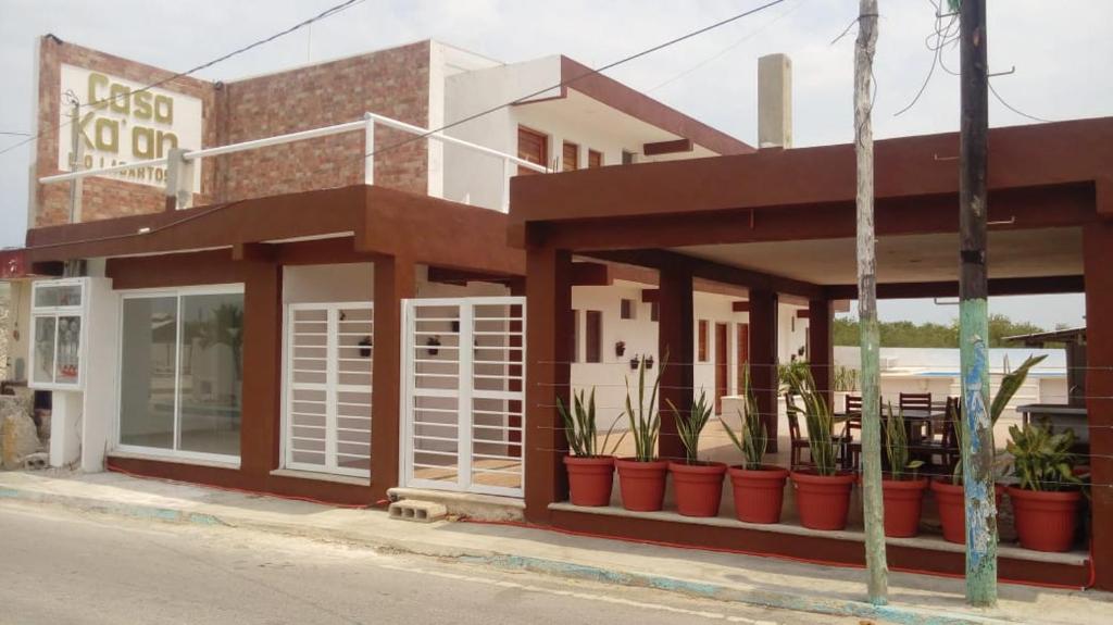 a building with potted plants in front of it at Casa Ka'an Rio. in Río Lagartos