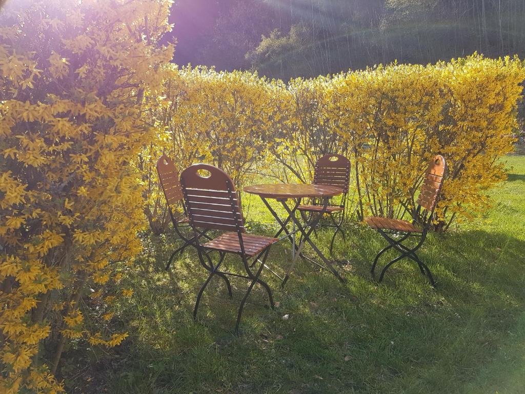 Zahrada ubytování Hotel Garni Dekorahaus