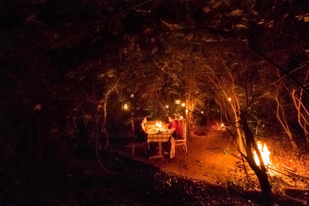 Fotografie z fotogalerie ubytování The Thick Forest v destinaci Sigiriya