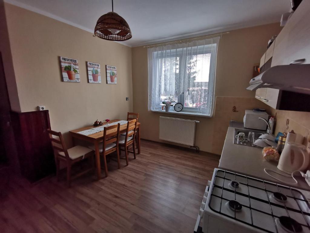 Kuchyň nebo kuchyňský kout v ubytování U Vrbů