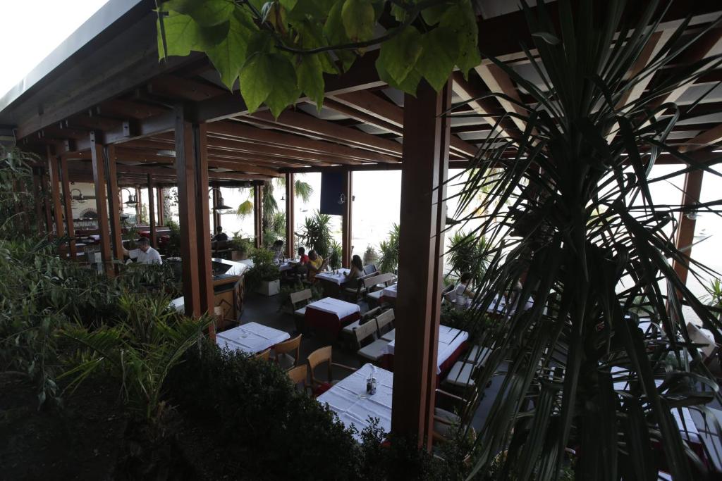 Zahrada ubytování Beach Hotel Split