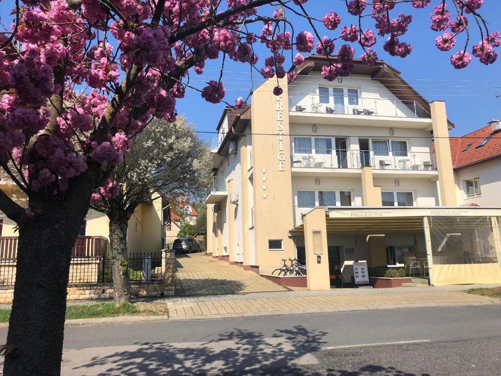 a building with a flowering tree in front of it at Villa Prestige in Hévíz