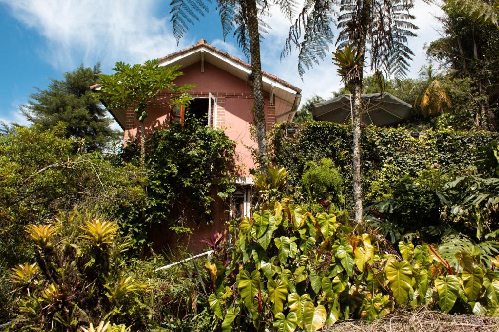 uma casa cor-de-rosa rodeada de árvores e arbustos em Villa Violeta em Petrópolis